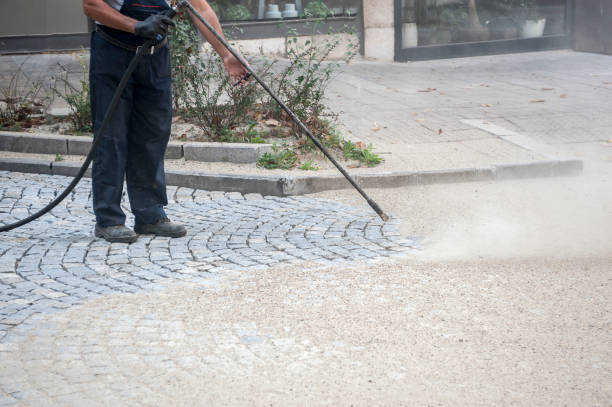 Animal Enclosure Cleaning in Kearny, NJ