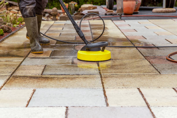 Best Animal Enclosure Cleaning  in Kearny, NJ