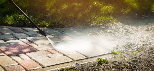 Best Solar Panel Cleaning  in Kearny, NJ